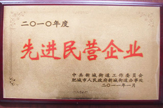 先進(jìn)民營企業(yè)